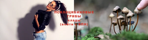 прущий лед Арсеньев