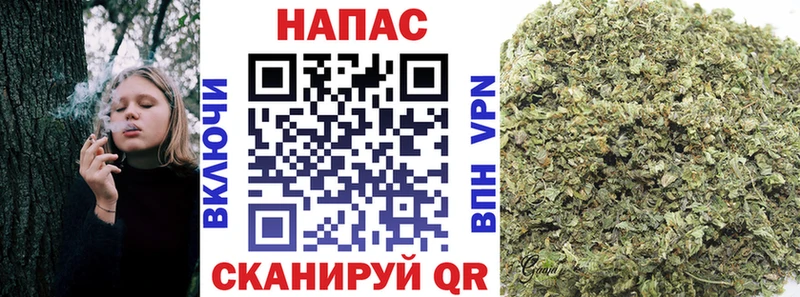 Канабис тримм  как найти   Горняк 